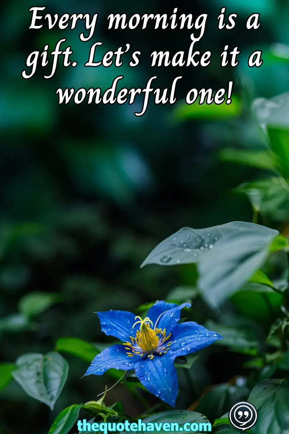  Cute Good Morning Quotes
