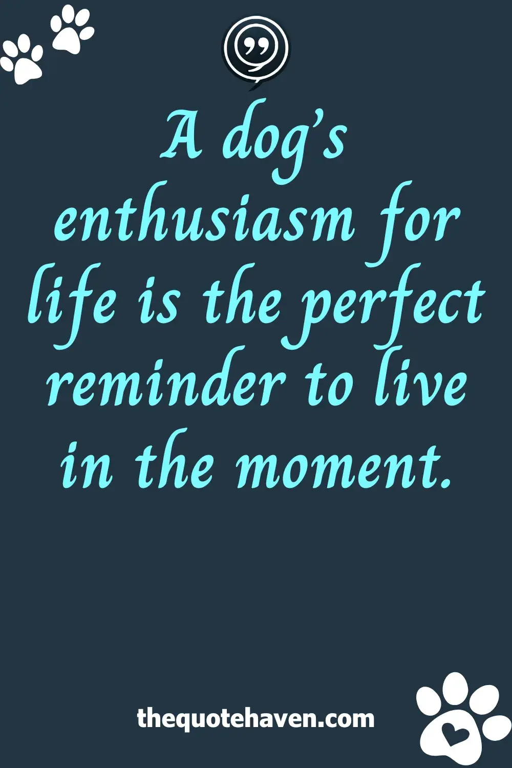  Meaningful Dog Quotes.