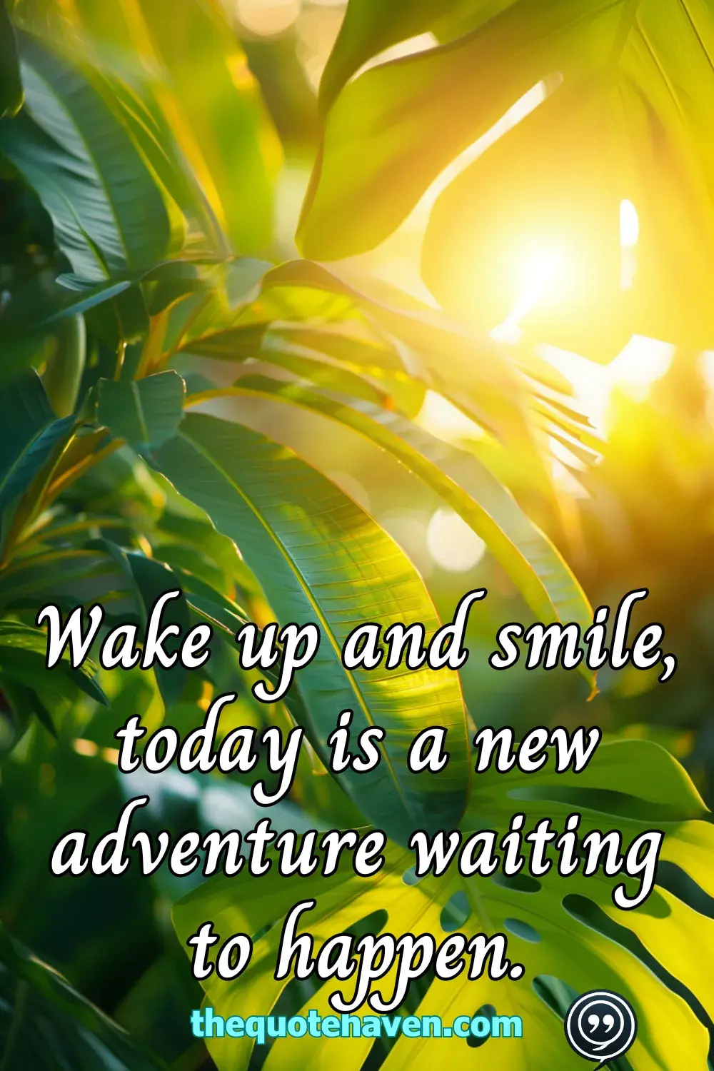  Positive Morning Quotes