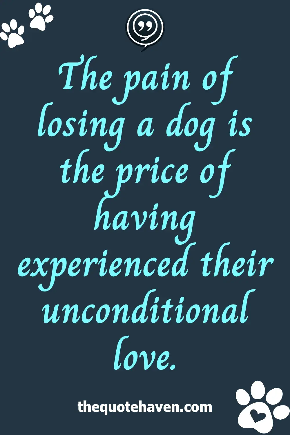  Quotes on Losing a Dog.